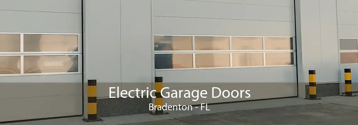 Electric Garage Doors Bradenton - FL