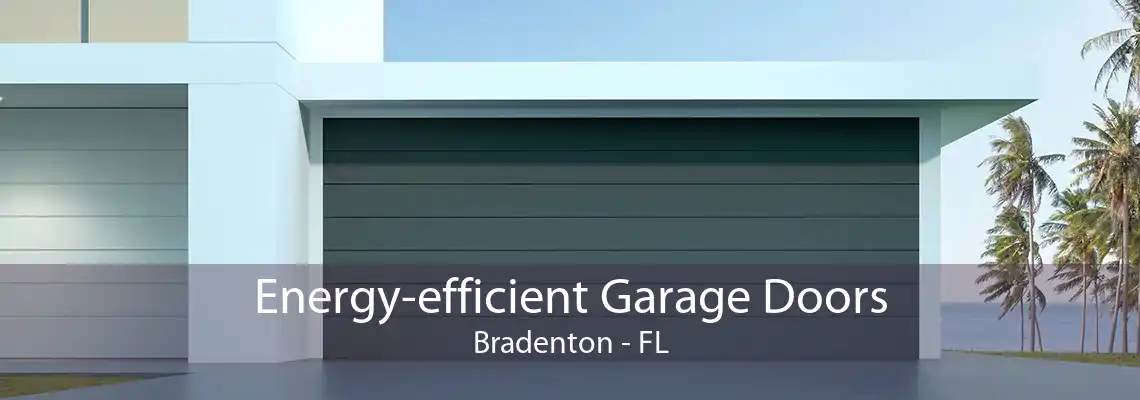 Energy-efficient Garage Doors Bradenton - FL