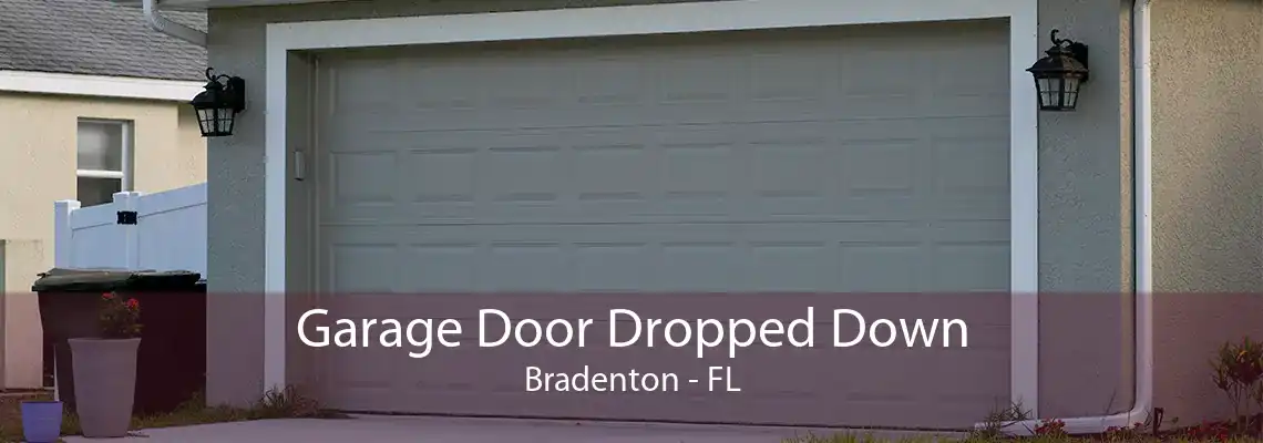 Garage Door Dropped Down Bradenton - FL