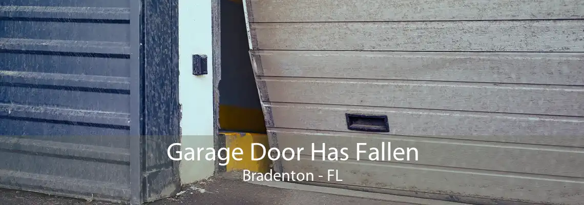 Garage Door Has Fallen Bradenton - FL