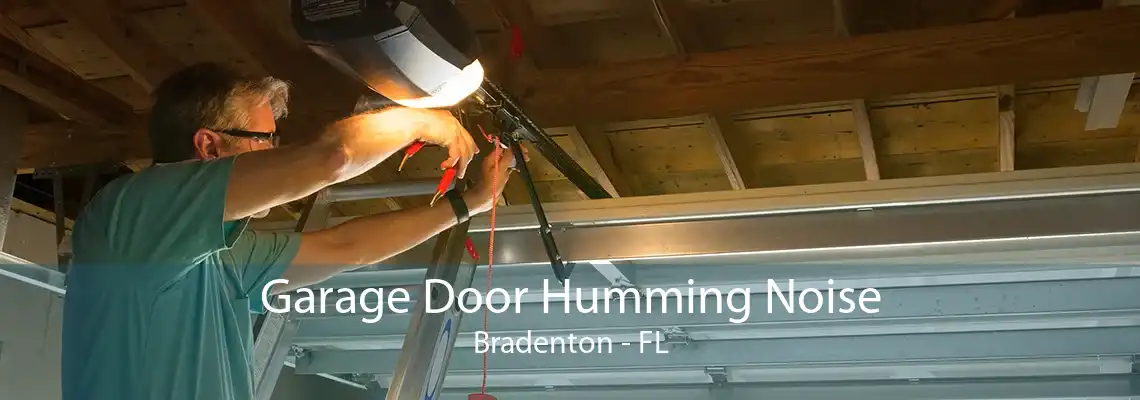 Garage Door Humming Noise Bradenton - FL