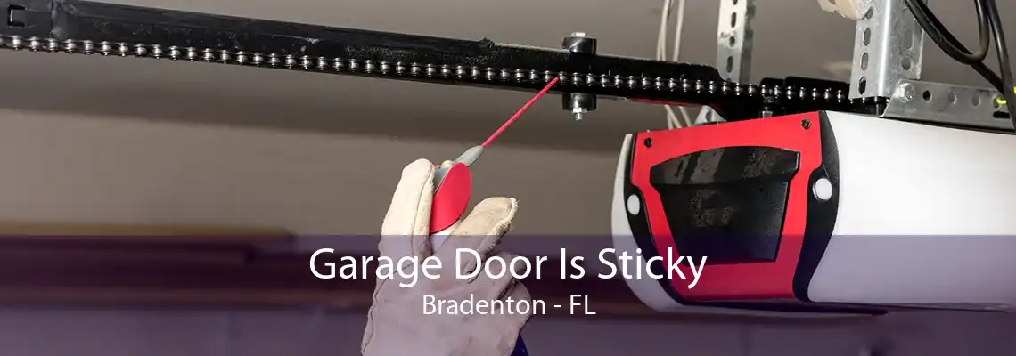 Garage Door Is Sticky Bradenton - FL