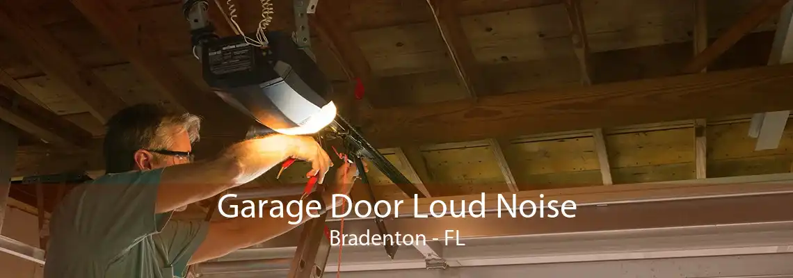 Garage Door Loud Noise Bradenton - FL