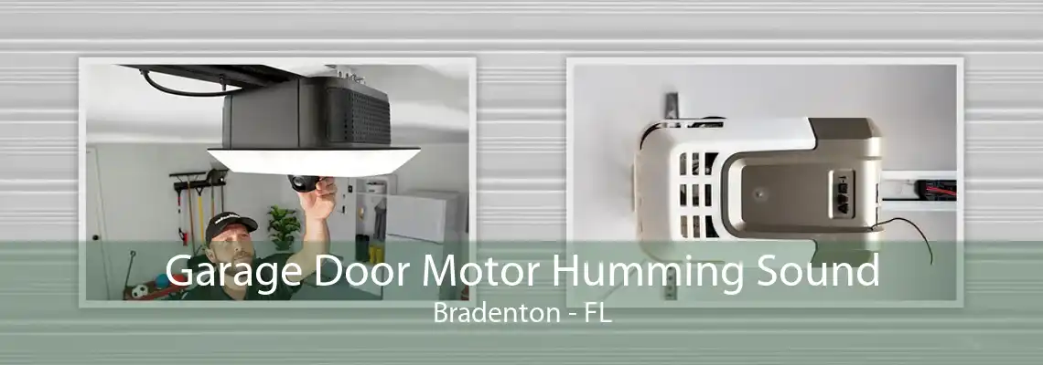 Garage Door Motor Humming Sound Bradenton - FL