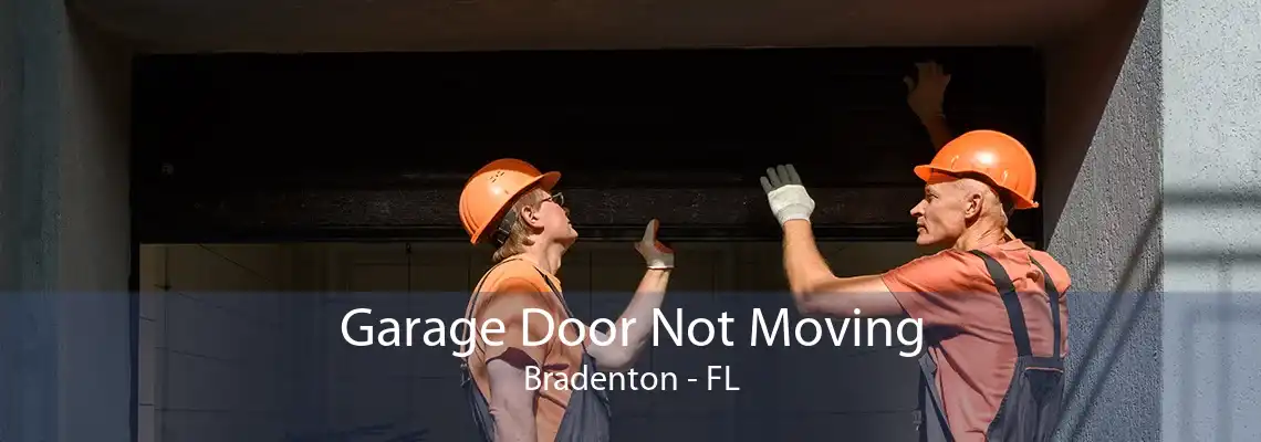 Garage Door Not Moving Bradenton - FL