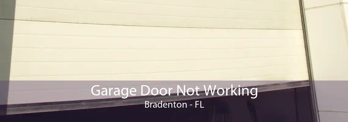 Garage Door Not Working Bradenton - FL