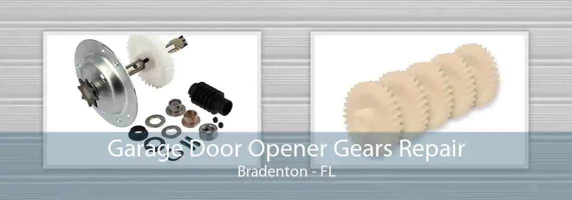 Garage Door Opener Gears Repair Bradenton - FL