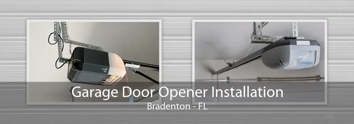 Garage Door Opener Installation Bradenton - FL