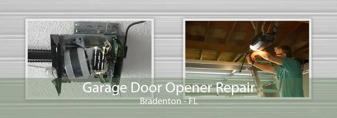 Garage Door Opener Repair Bradenton - FL