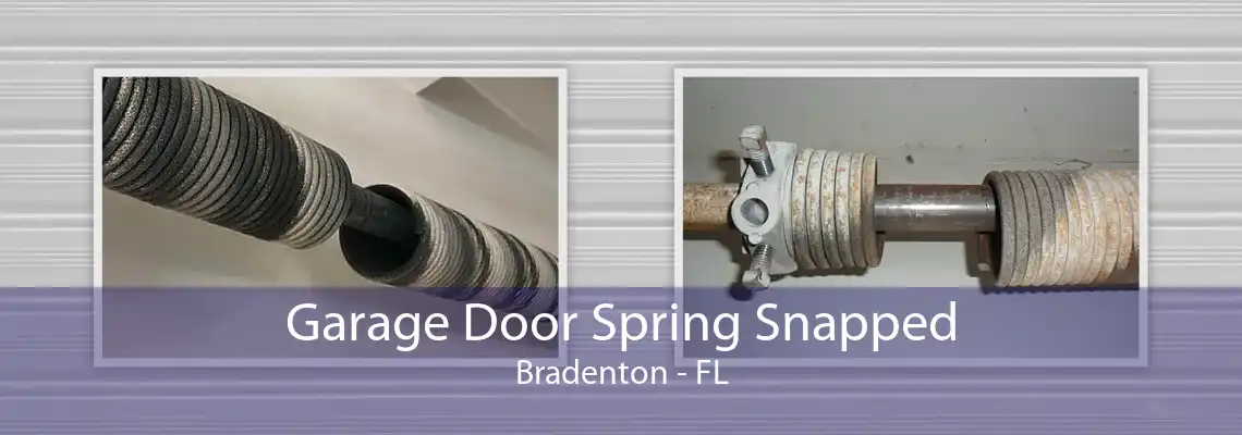 Garage Door Spring Snapped Bradenton - FL