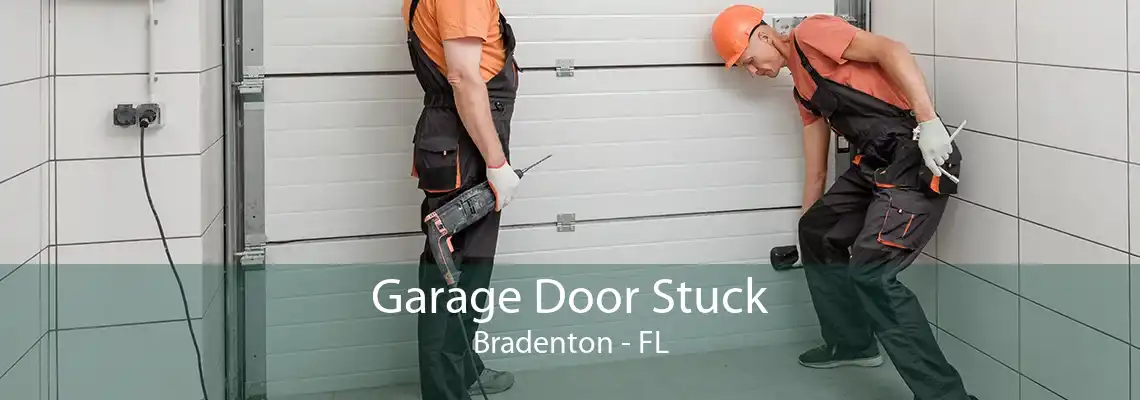 Garage Door Stuck Bradenton - FL