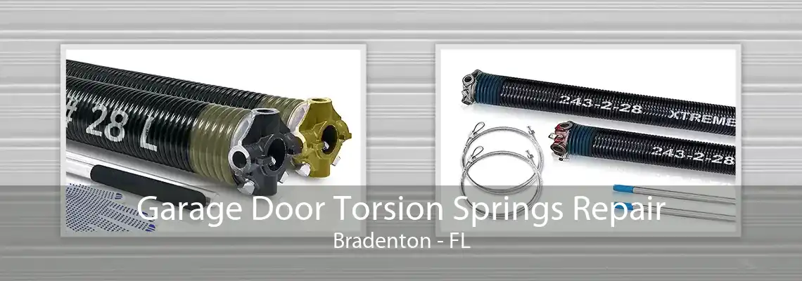 Garage Door Torsion Springs Repair Bradenton - FL