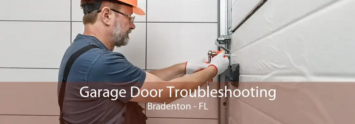 Garage Door Troubleshooting Bradenton - FL