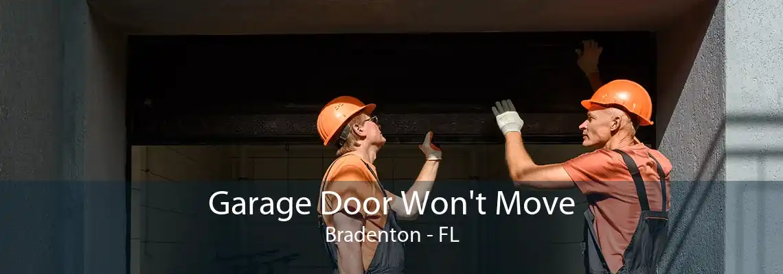 Garage Door Won't Move Bradenton - FL